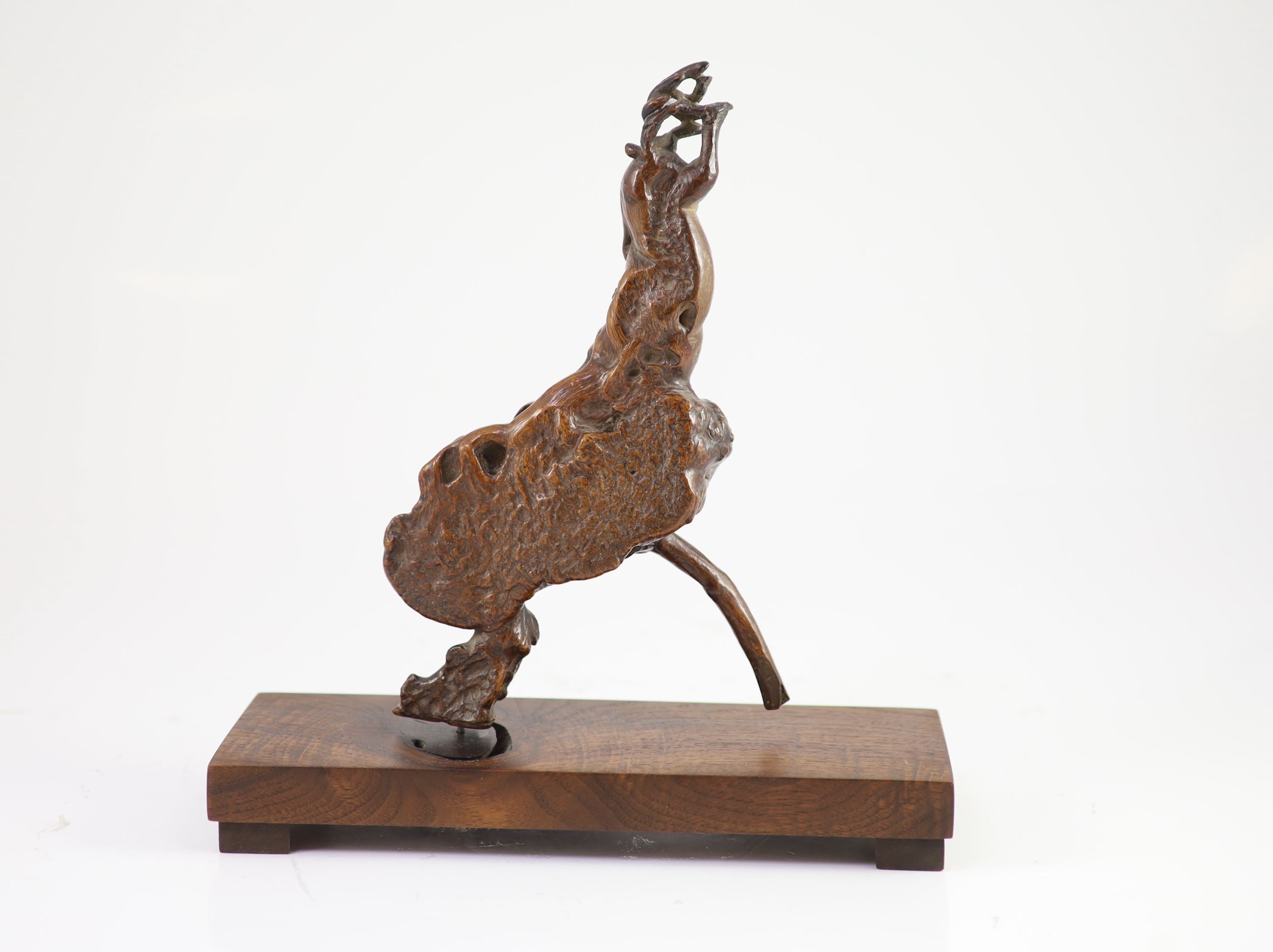 A Chinese scholar's rootwood carving of a deer, 18th century, 25cm high, later wood stand